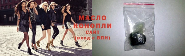 индика Карпинск