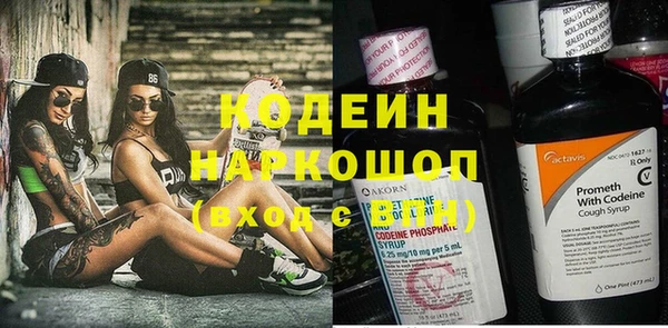 индика Карпинск