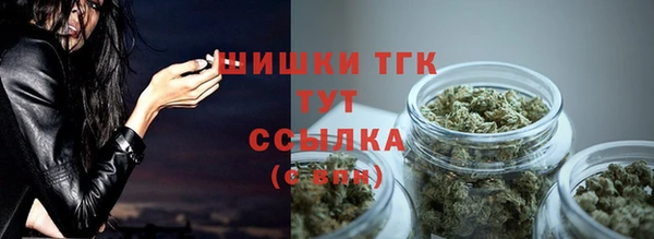 индика Карпинск