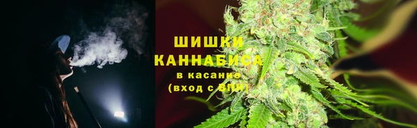 ешки Касимов