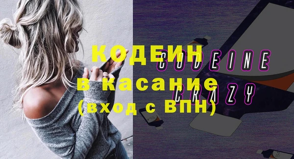 индика Карпинск