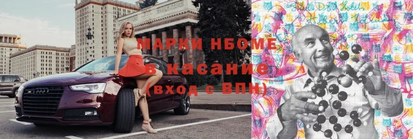 индика Карпинск