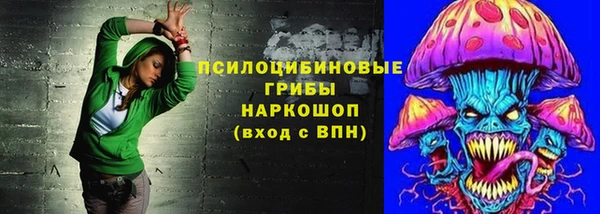 индика Карпинск