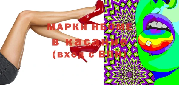 индика Карпинск