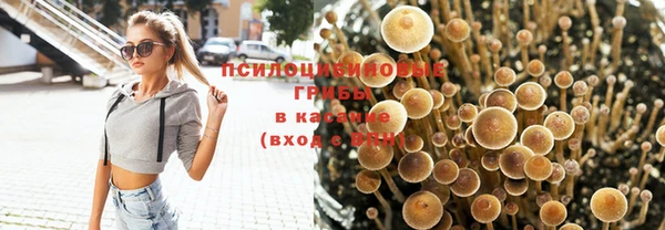 индика Карпинск