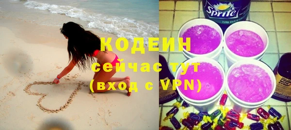 индика Карпинск
