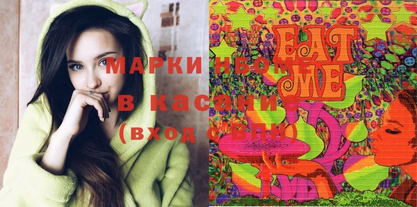 индика Карпинск