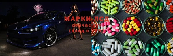 индика Карпинск