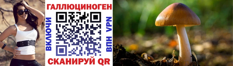 Галлюциногенные грибы GOLDEN TEACHER  Купить закладки  Харабали 